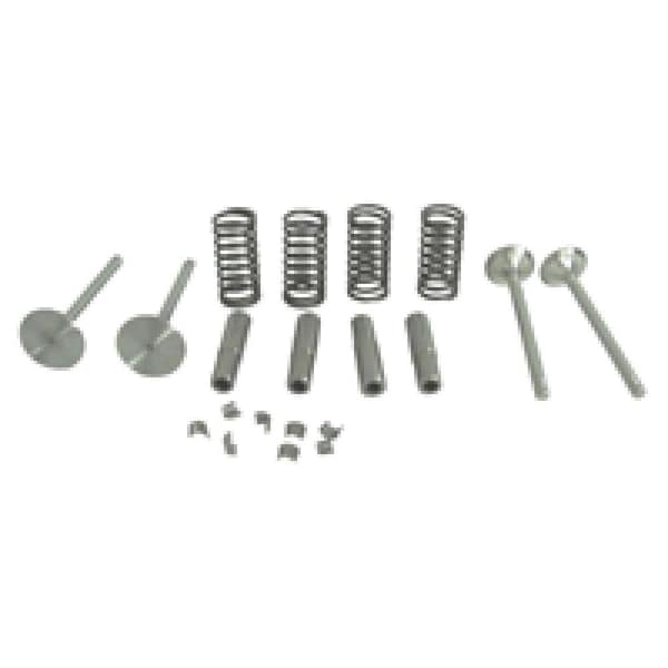 Aic Replacement Parts Valve Train Kit w/ Guides Springs Locks Intake & Exh. for 420 430 440 ENE10-0208 - main
